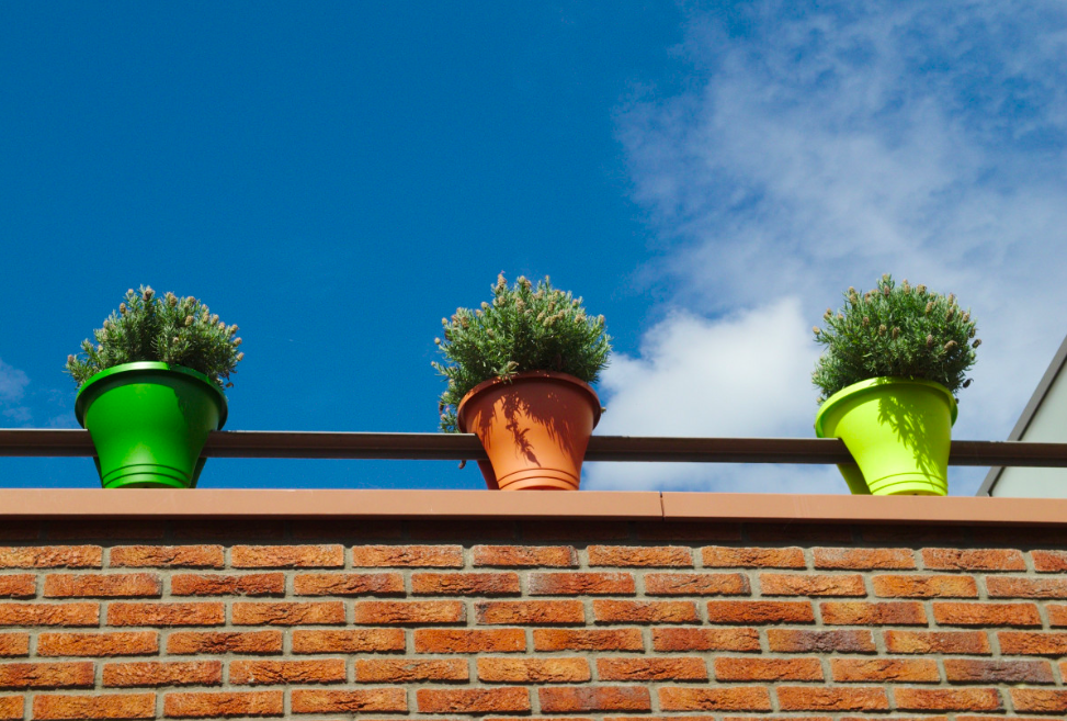 A wall-mounted container filled with various herbs known for their mosquito-repellent qualities.